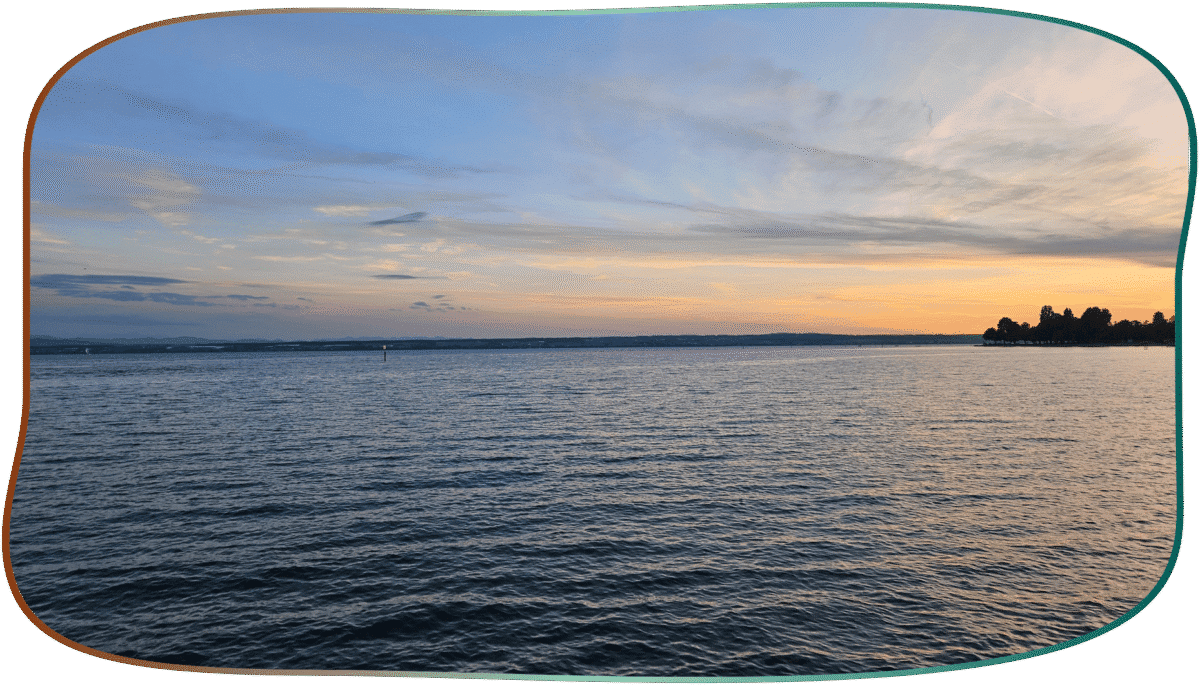 bodensee friedrichshafen lac constance blog animaux