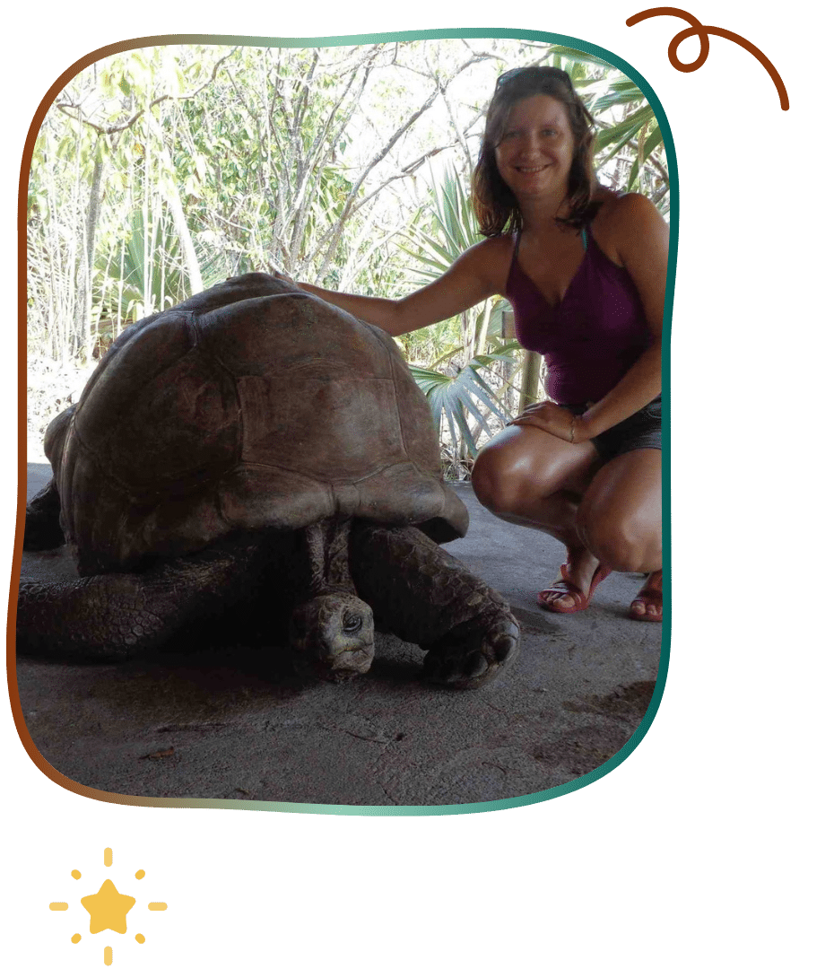 doro tortue big daddy