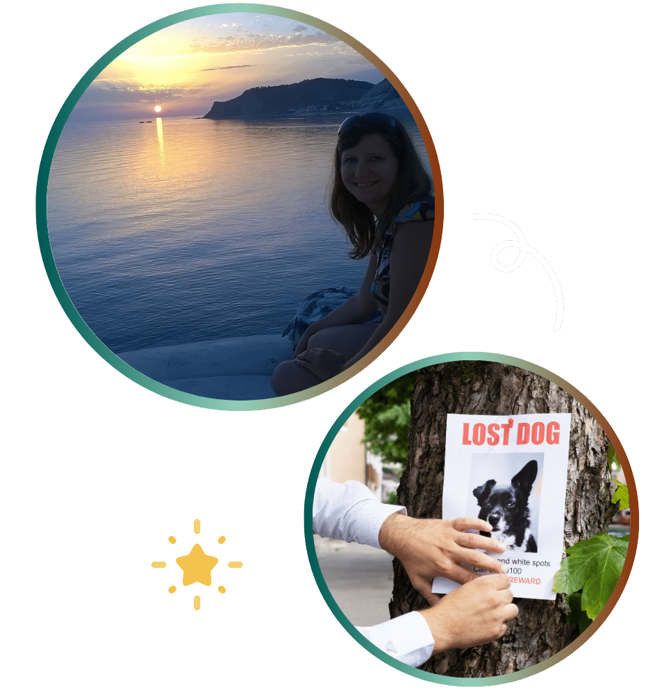 animaux disparus coucher soleil affiche avis recherche chien