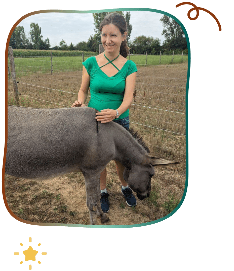 magnetismus esel energiearbeit