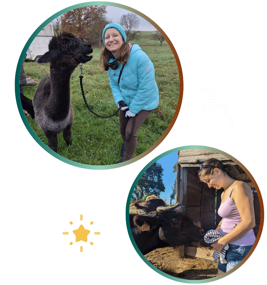 tierkommunikation alpaka kuh rind