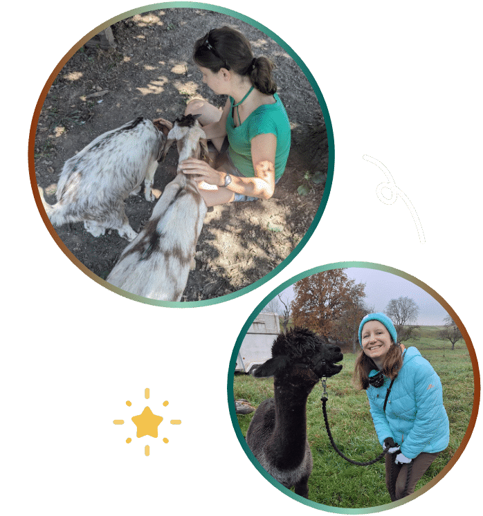 tierkommunikation energie ziegen alpaka behandlung wanderung