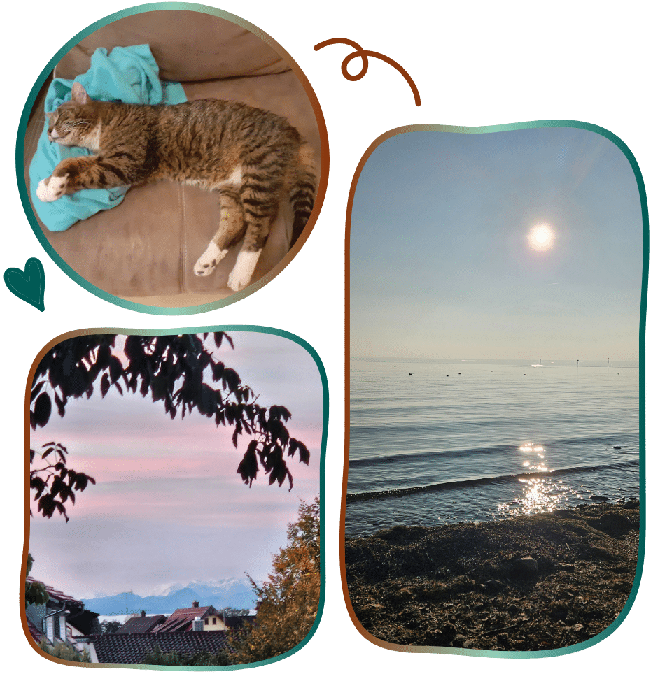 verstorbenes tier kater katze getigert bodensee sonne wasser berge